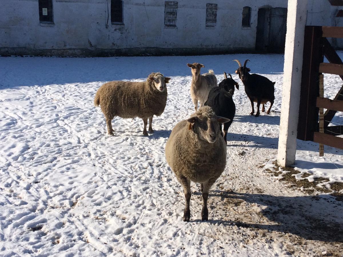 Folwark Luknajno Nad Jeziorem Sniardwy Gospoda Dziedzictwo Kulinarne Warmia-Mazury Mikołajki Dış mekan fotoğraf